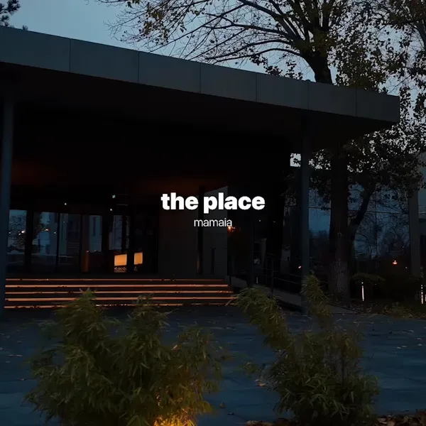 the place mamaia, the resort entrance in the evening